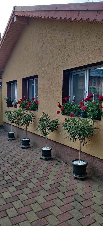 Cazare Buzau Apartment Exterior photo